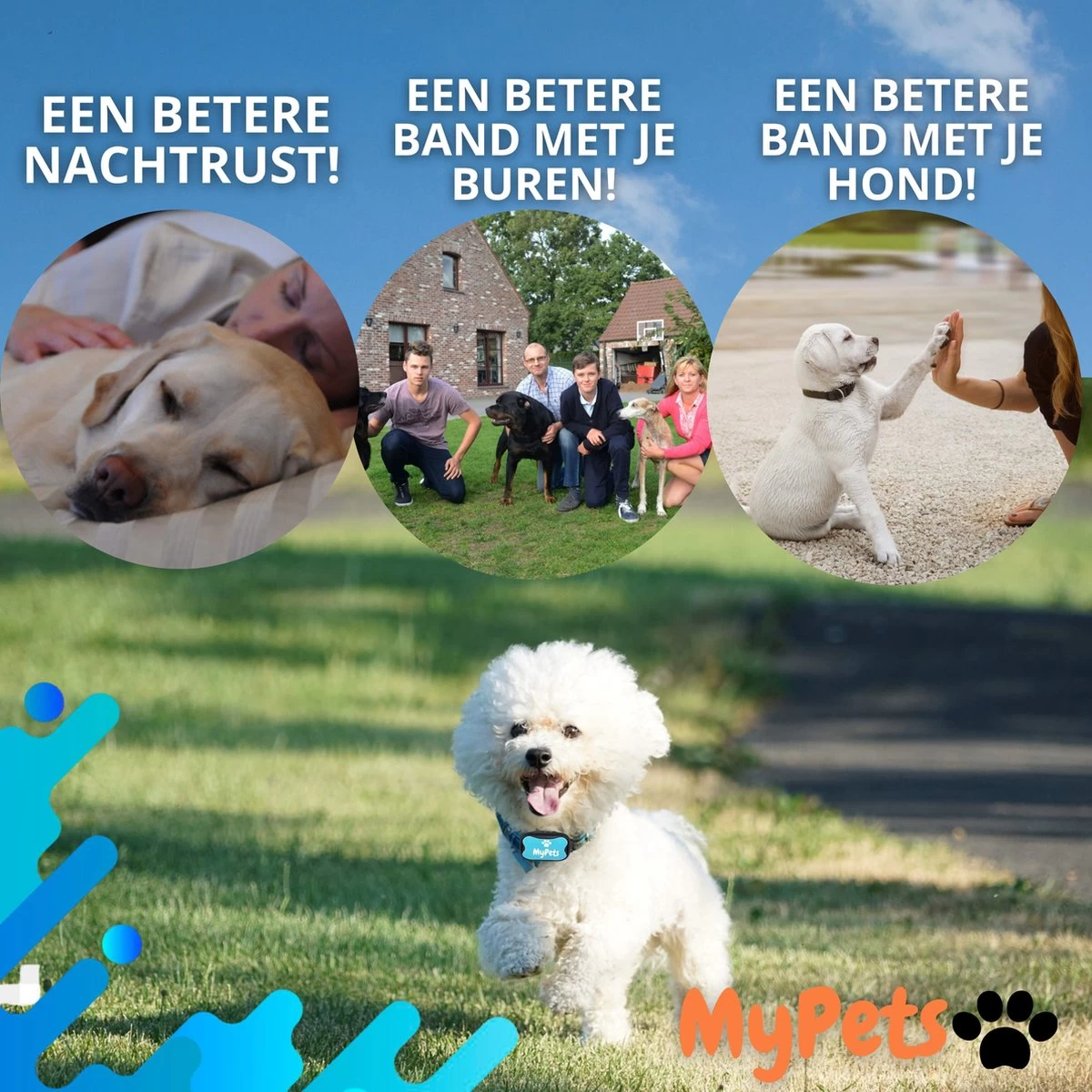 MyPets™ Anti-blafband - Anti Blaf Apparaat - Voor Kleine Honden En Grote Honden - Diervriendelijk - Opvoedingshalsband - Trainingshalsband - 2022/2023 Versie - Inclusief Batterijen - Afbeelding 10