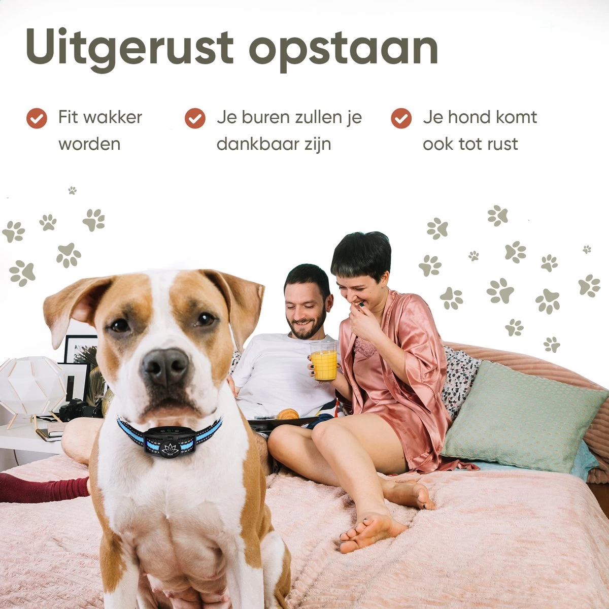 Premium Anti Blafband Apparaat Om Je Hond Snel En Effectief Te Laten Stoppen Met Blaffen - Diervriendelijke Opvoedingshalsband Zonder Schok - Trainingshalsband Voor Grote En Kleine Honden - Anti Blaf Apparaat - Correctie Halsband - Afbeelding 2
