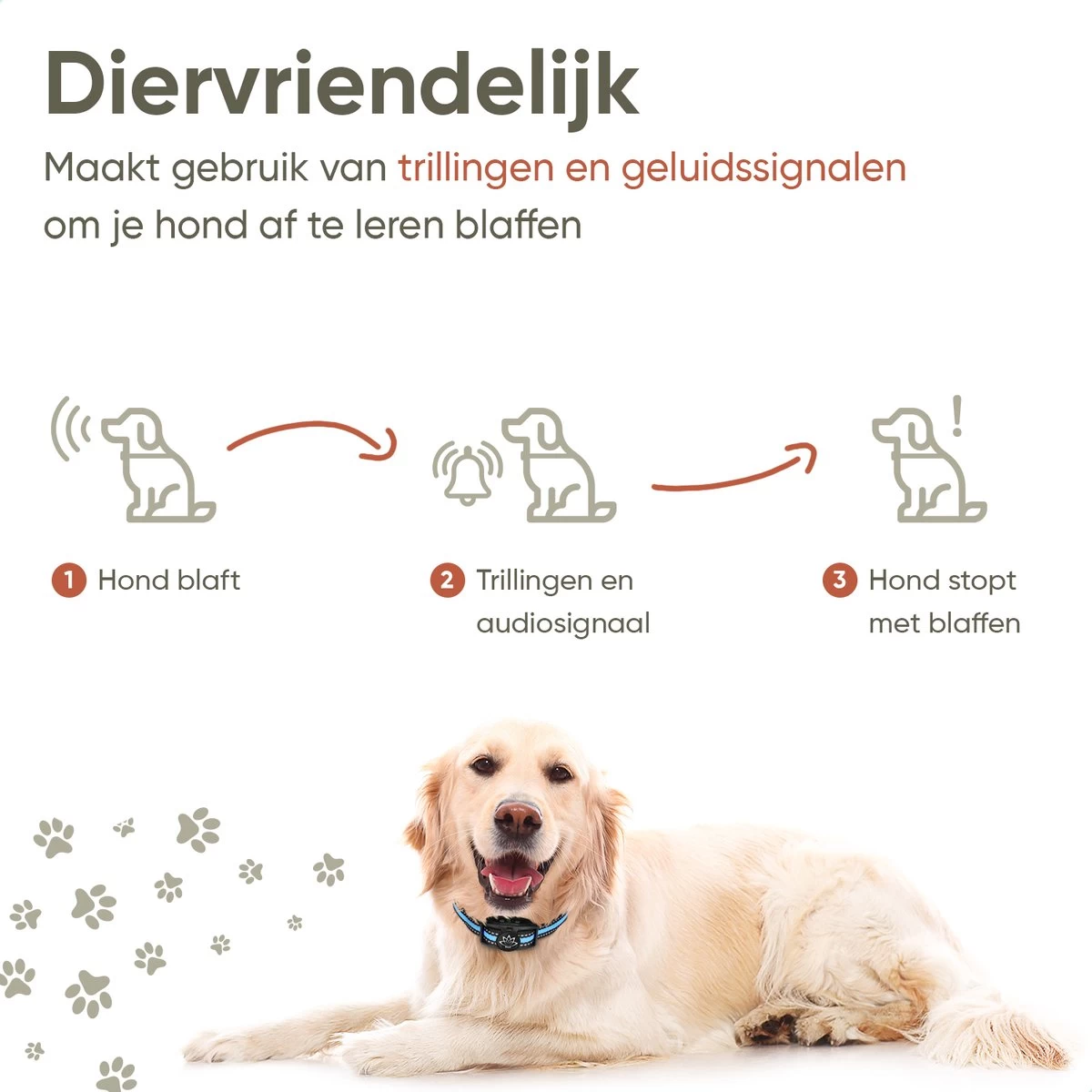 Premium Anti Blafband Apparaat Om Je Hond Snel En Effectief Te Laten Stoppen Met Blaffen - Diervriendelijke Opvoedingshalsband Zonder Schok - Trainingshalsband Voor Grote En Kleine Honden - Anti Blaf Apparaat - Correctie Halsband - Afbeelding 4