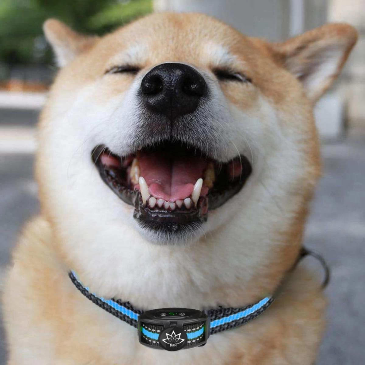 Premium Anti Blafband Apparaat Om Je Hond Snel En Effectief Te Laten Stoppen Met Blaffen - Diervriendelijke Opvoedingshalsband Zonder Schok - Trainingshalsband Voor Grote En Kleine Honden - Anti Blaf Apparaat - Correctie Halsband - Afbeelding 9