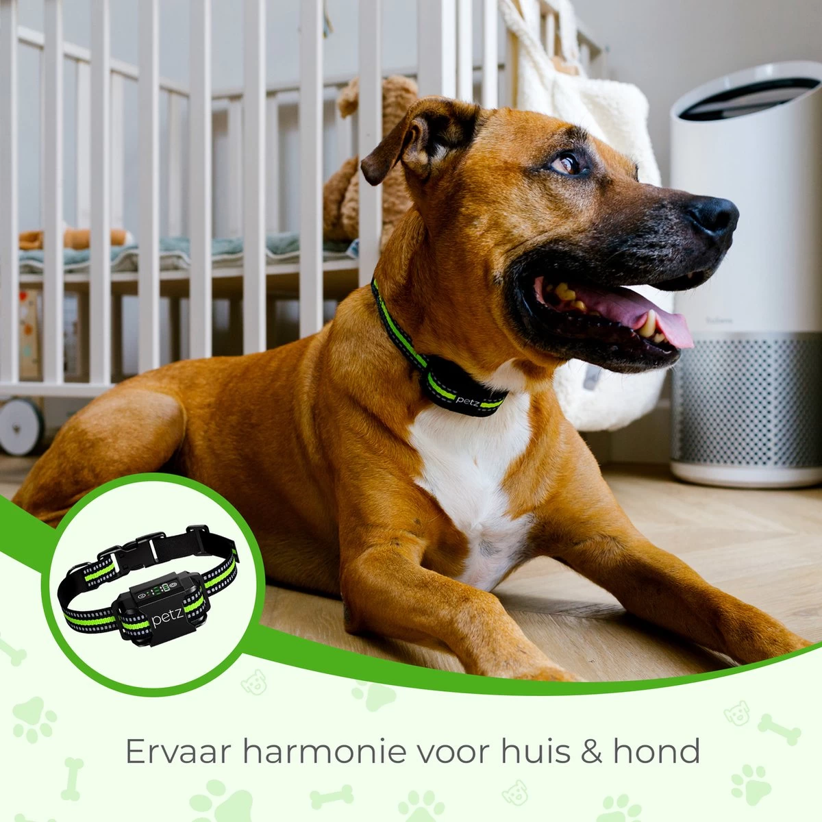 Petz - Anti Blafband - Anti Blafband Voor Kleine En Grote Honden - 5-55 KG - Vibratie En Audio - Diervriendelijk - GEEN Schokken - Opvoedingshalsband Zonder Schok En Diervriendelijk - Waterdicht - Oplaadbaar - Afbeelding 4