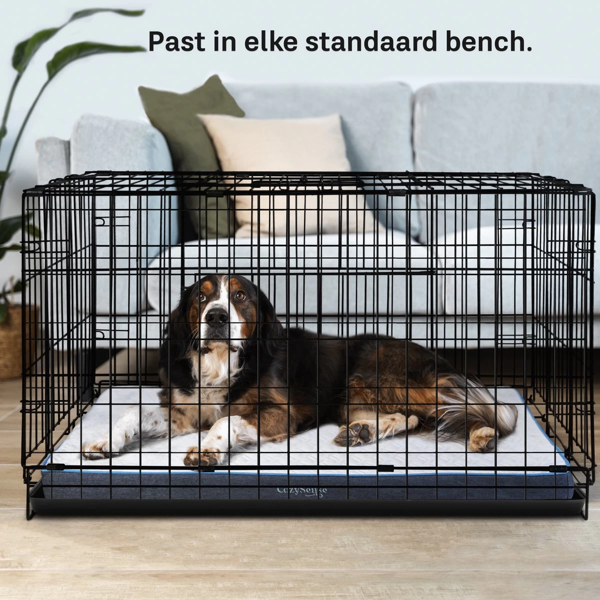 CozySense® - Orthopedisch Hondenkussen - Hondenkussen 90 X 55 Cm - Ook Geschikt Als Benchkussen & Hondenbed - Hondenkussen Bank - Traagschuim - Waterdicht - Wasbare Hoes - Maat L - Afbeelding 5