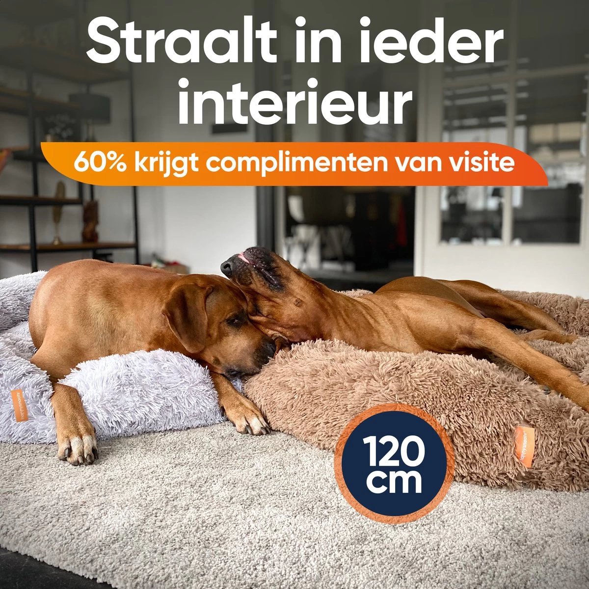 Happysnoots Hondenmand Met Rits - 80cm - Hondenbed - Donut Dog Bed - Fluffy - Grijs - Wasbaar - Afbeelding 4