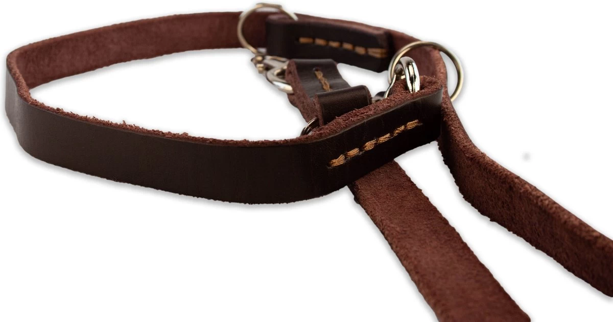 Multifunctionele Hondenriem - 220cm - Bruin - Leren Hondenriem - 100% Volnerfleer - Hondenriem Leer - Leiband Hond - Afbeelding 5