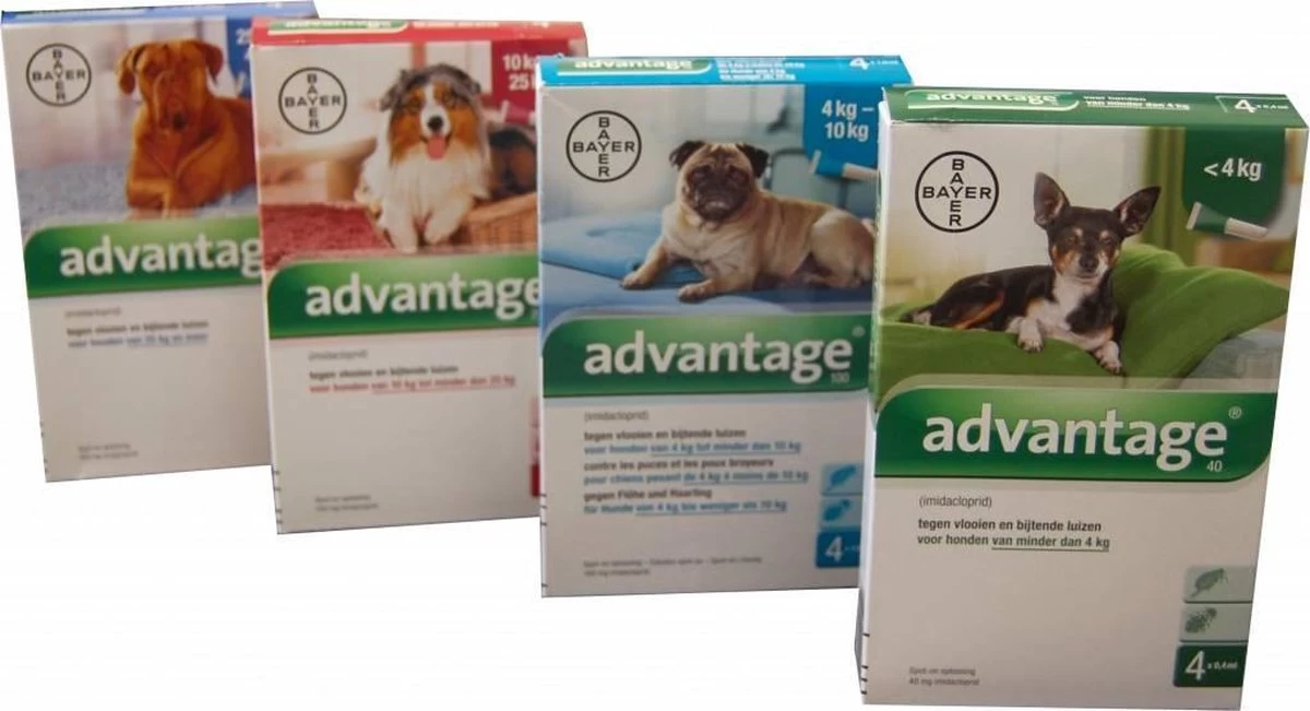 Bayer Advantage 100 Hond 4-10 Kg - 4 Pipetten à 1,0 Ml - Afbeelding 16