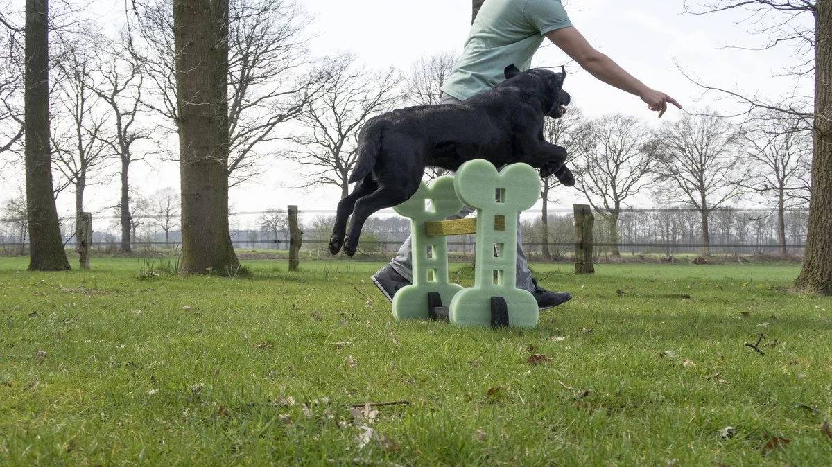 Dog Agility Set Indoor En Outdoor - Honden Trainingsset - - Afbeelding 3