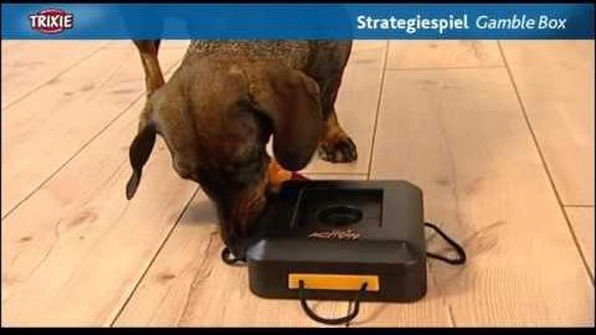 Trixie Dogtoy Dog Activity Strategy Game Gamble Box - Piepend Speelgoed - 15cm X 15cm X 9cm - Zwart/rood/oranje - Afbeelding 13