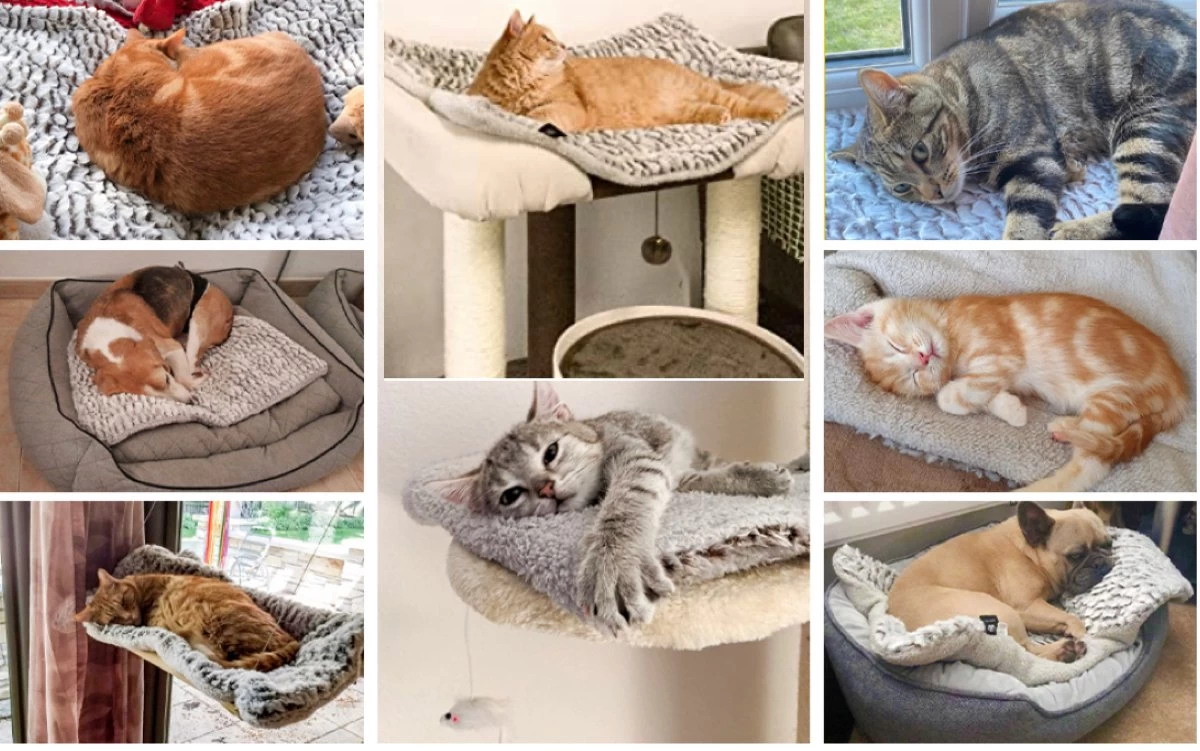 Merkloos Zelfverwarmende Dierendeken Zonder Stroom Thermo Deken Hond Kat Inclusief Adreslabel 70 X 47 Cm - Afbeelding 5