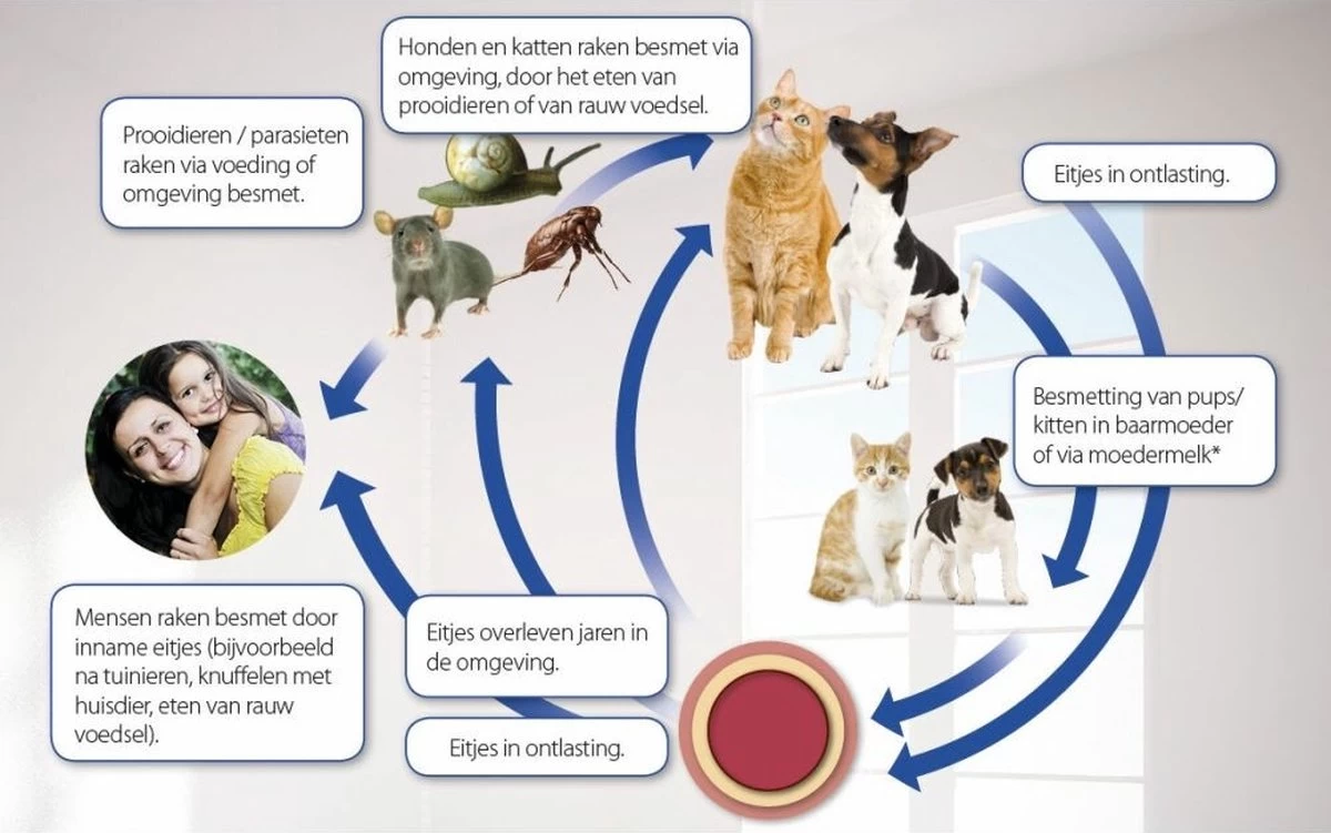 Beaphar Milquestra Kleine Hond/Puppy - Ontwormingsmiddel - 2 Tabletten - Afbeelding 4