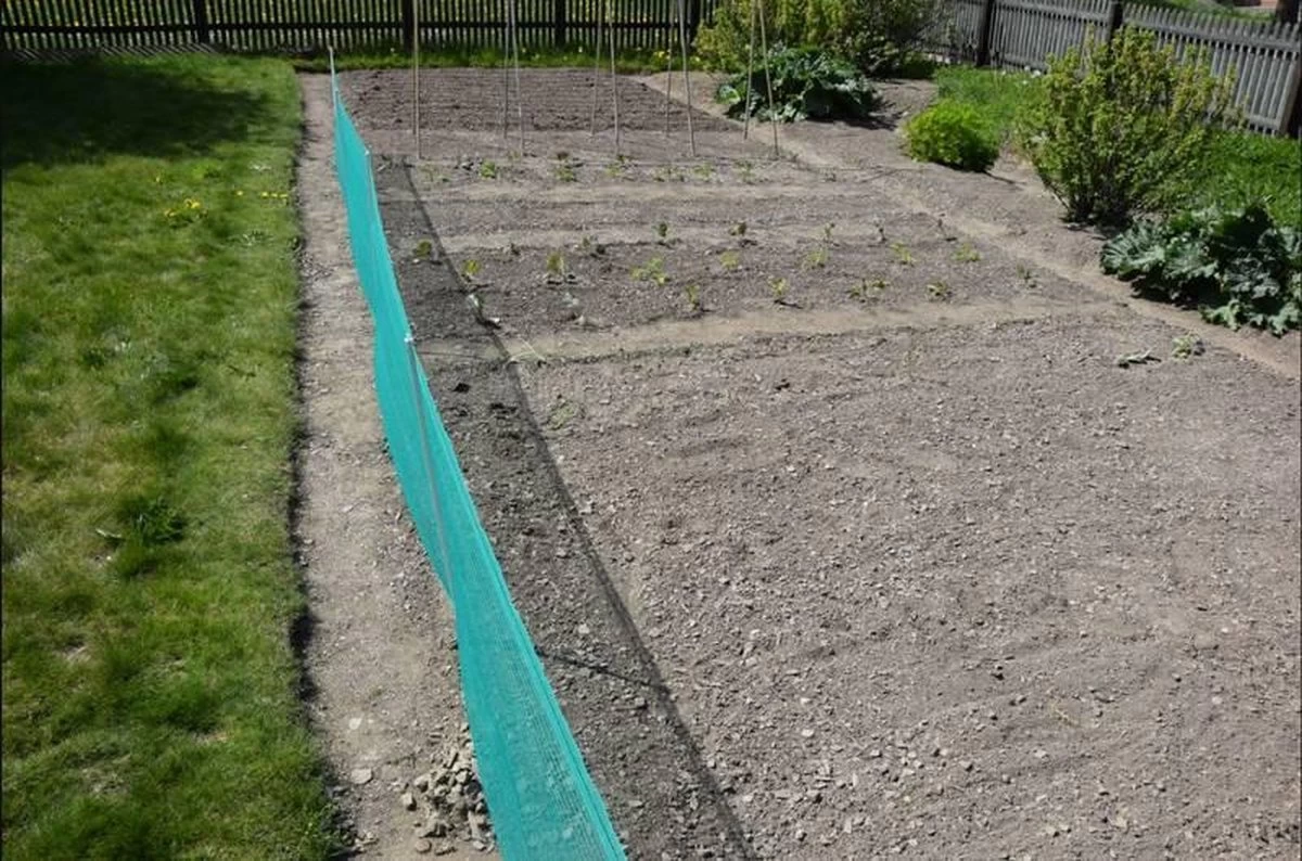 Verplaatsbare Net Afrastering Groen 80cm Hoog - 20m - Afbeelding 9