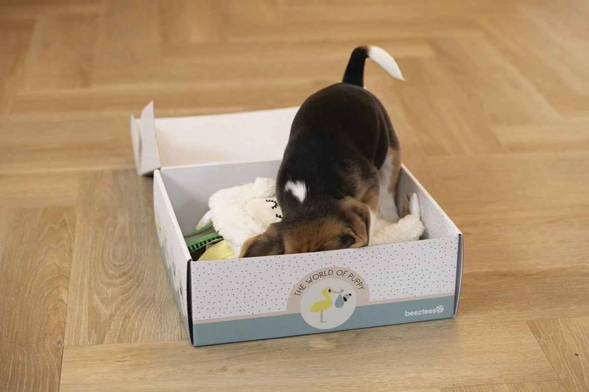 Merkloos Beeztees Puppy Cadeaupakket - Puppy Pakket - Leuke Box Met Puppy Speelgoed En Snacks - Afbeelding 5