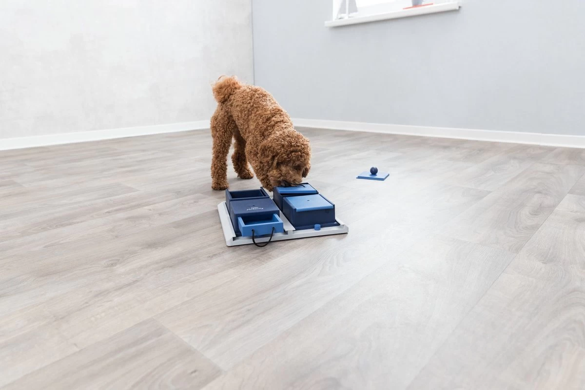 Trixie Dog Activity Poker Box 1 - 31X31 CM - Afbeelding 14