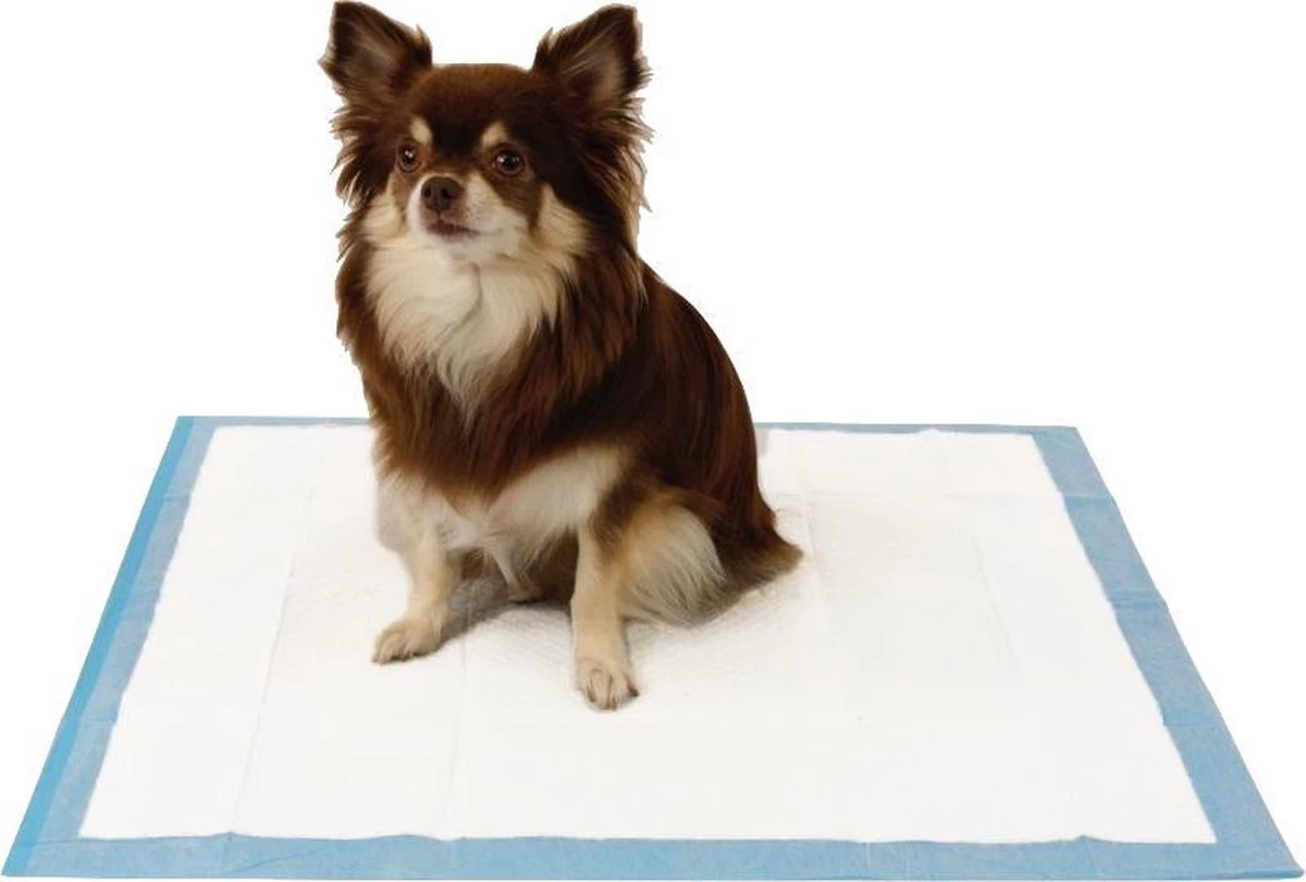 Easypets Puppy Training Pads - Zindelijkheidstraining - Hondentoilet - 58 X 58 Cm - 250 Stuks - Afbeelding 2