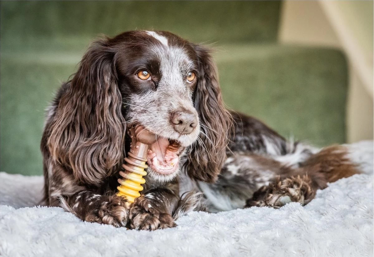 Nylabone Extreme Kauwbot Met Rund- En Kaassmaak - Voor Krachtige Kauwers - In S/M/XL - X-Large - Afbeelding 7