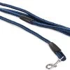 Merkloos Slipriem - Nylon - Riem Voor Hond - Blauw