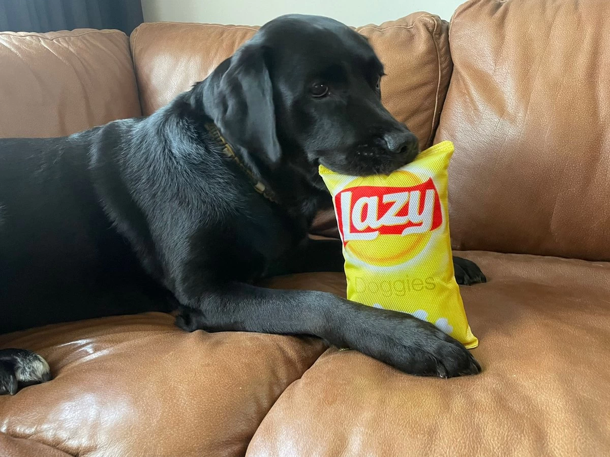 Merkloos Lazy Doggies Krakend Hondenspeelgoed - Afbeelding 2