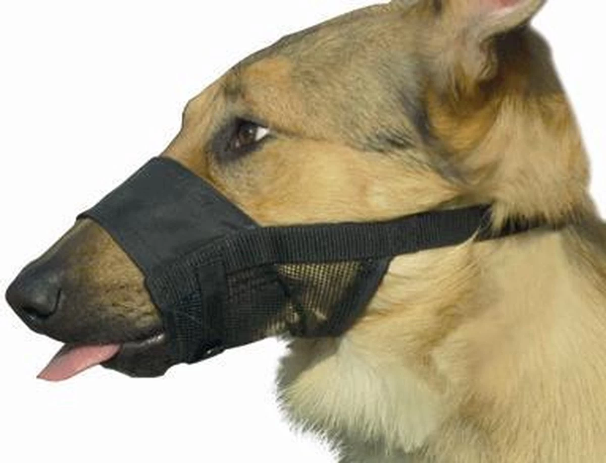 Beeztees Comfort Muilband - Hond - M - 15-20 Cm - Afbeelding 4