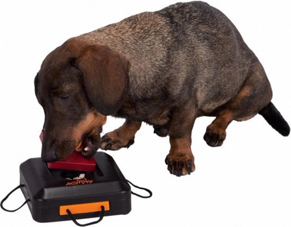 Trixie Dogtoy Dog Activity Strategy Game Gamble Box - Piepend Speelgoed - 15cm X 15cm X 9cm - Zwart/rood/oranje - Afbeelding 4