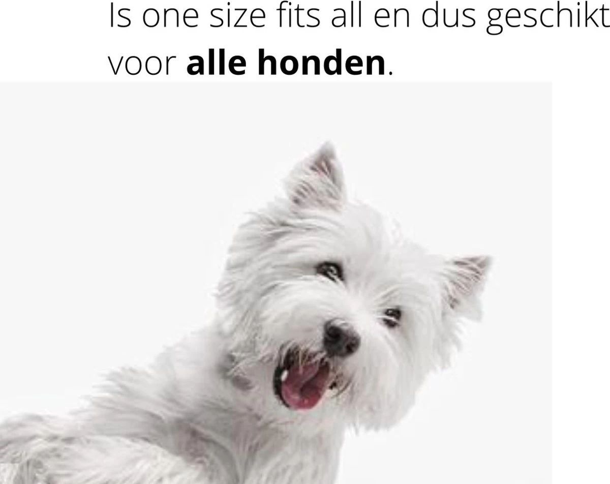 Merkloos Vlooienband Hond | Vlooien | Luizen | Teken | Mijten | 8 Maanden Bescherming | Honden - Afbeelding 6