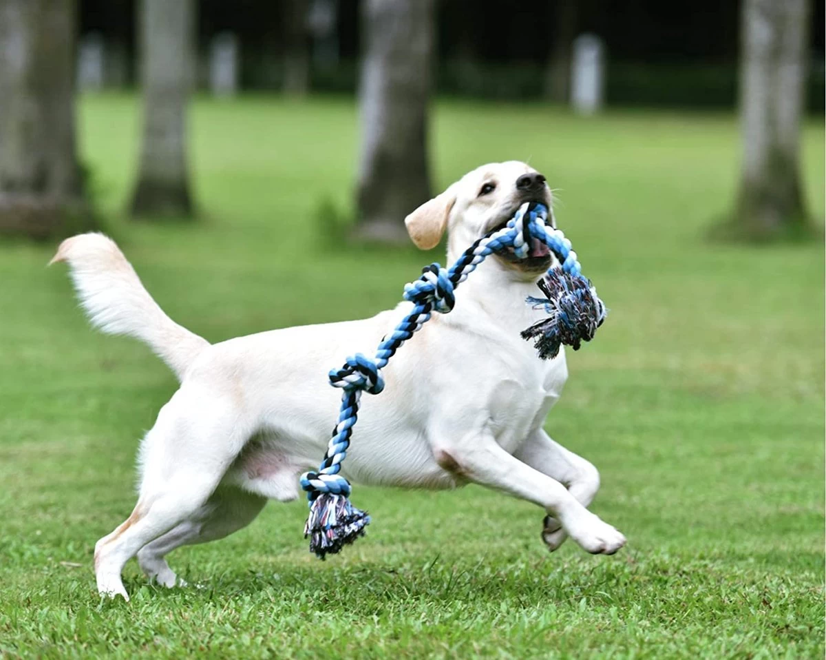 Viervoetjes - BigBoi - XXL - Honden Touw - 90cm - Honden Speelgoed - HondenSpeeltjes - Blauw/Wit/Zwart - Afbeelding 3