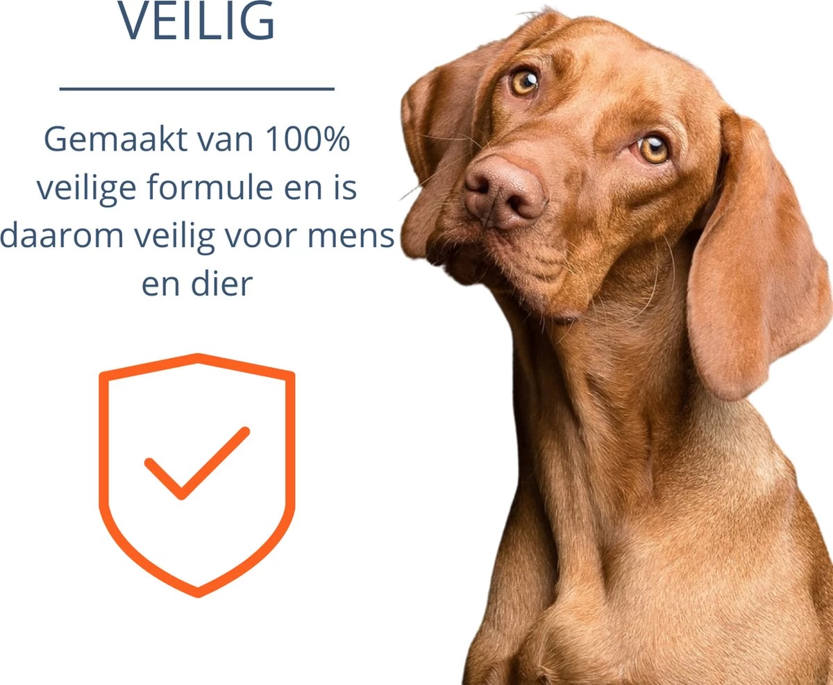 Merkloos Vlooienband Hond - 8 Maanden Bescherming - Vlooienband - Natuurlijk - Tekenband - Anti Vlooien - 63cm - Fit All Sizes - Vlooienbandjes Hond - Vlooien - Teken - Afbeelding 9