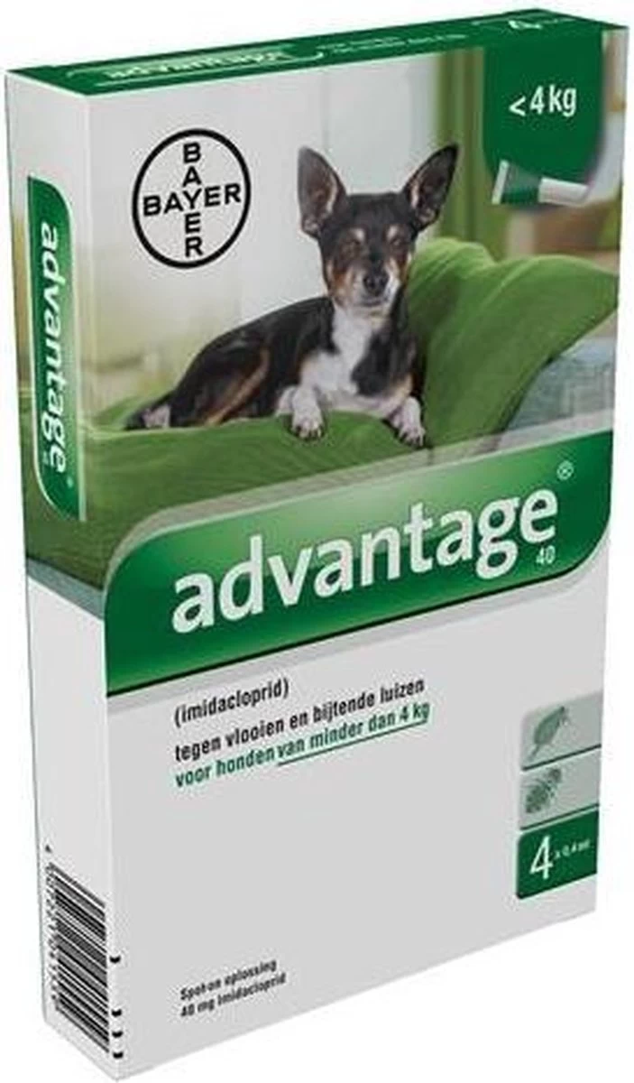 Bayer Advantage 100 Hond 4-10 Kg - 4 Pipetten à 1,0 Ml - Afbeelding 3