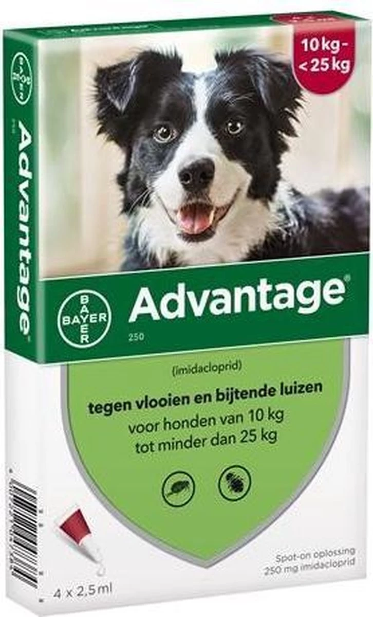Bayer Advantage 100 Hond 4-10 Kg - 4 Pipetten à 1,0 Ml - Afbeelding 8