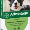 Bayer Advantage 250 Vlooiendruppels Hond 10-25 Kg - 4 Pipetten
