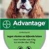 Bayer Advantage 100 Hond 4-10 Kg - 4 Pipetten à 1,0 Ml