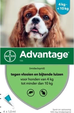 Bayer Advantage 100 Hond 4-10 Kg - 4 Pipetten à 1,0 Ml