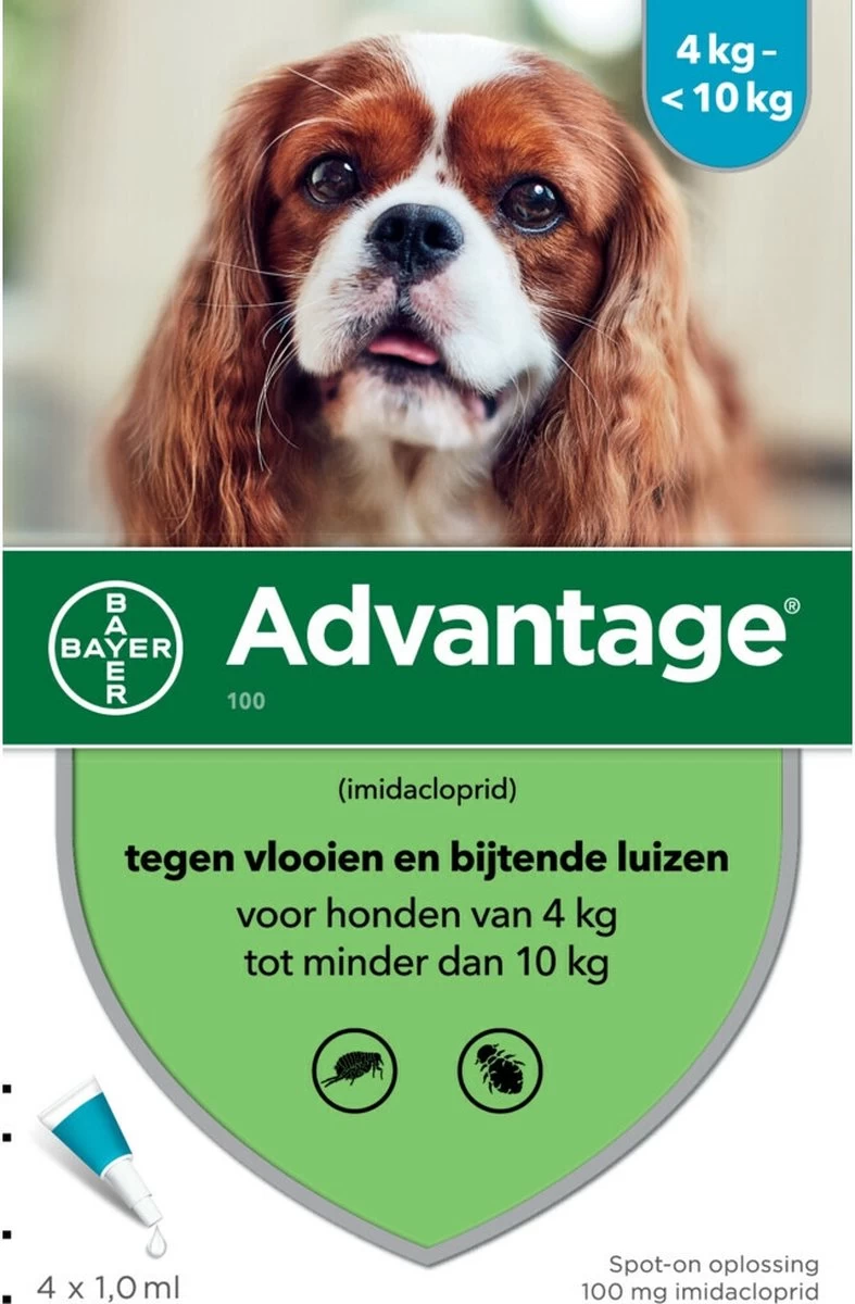 Bayer Advantage 100 Hond 4-10 Kg - 4 Pipetten à 1,0 Ml