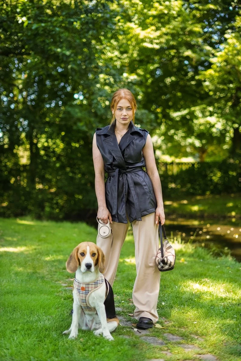 Hondenriem - Leiband Hond - Rollijn - 5 Meter - Beige - Riem Met Oprolsysteem - Hondenriem Flexi - Hondenlijn - Uitlaatriem - Afbeelding 8