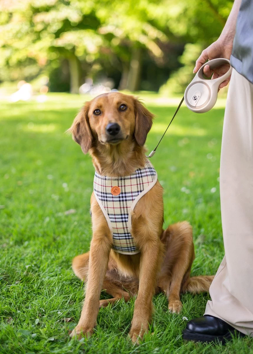 Hondenriem - Leiband Hond - Rollijn - 5 Meter - Beige - Riem Met Oprolsysteem - Hondenriem Flexi - Hondenlijn - Uitlaatriem - Afbeelding 7