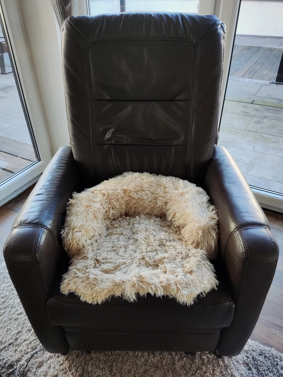 Kussen Voor Kat Of Kleine Hond | Fluffy Dierenkussen Van Pluche | Kat | Bank | Mand | Kattenmand | Kattendeken & Bankbeschermer Max. 15 Kg | Beige | Maat XS - Afbeelding 5