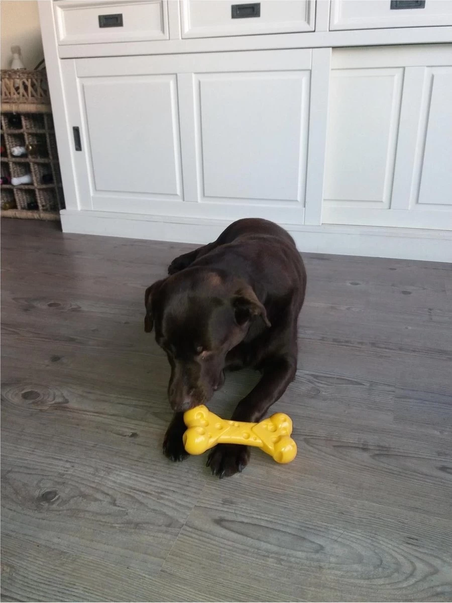 Nylabone Durable Cheese Bone - M - Afbeelding 3