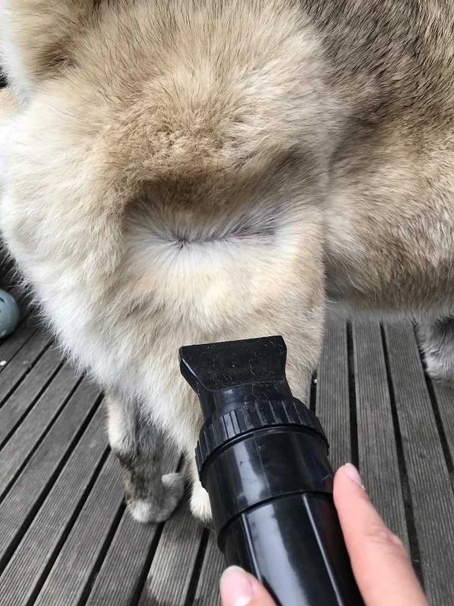 Waterblazer Hond - Hondendroger - Afbeelding 6