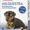 Beaphar Milquestra Kleine Hond/Puppy - Ontwormingsmiddel - 2 Tabletten