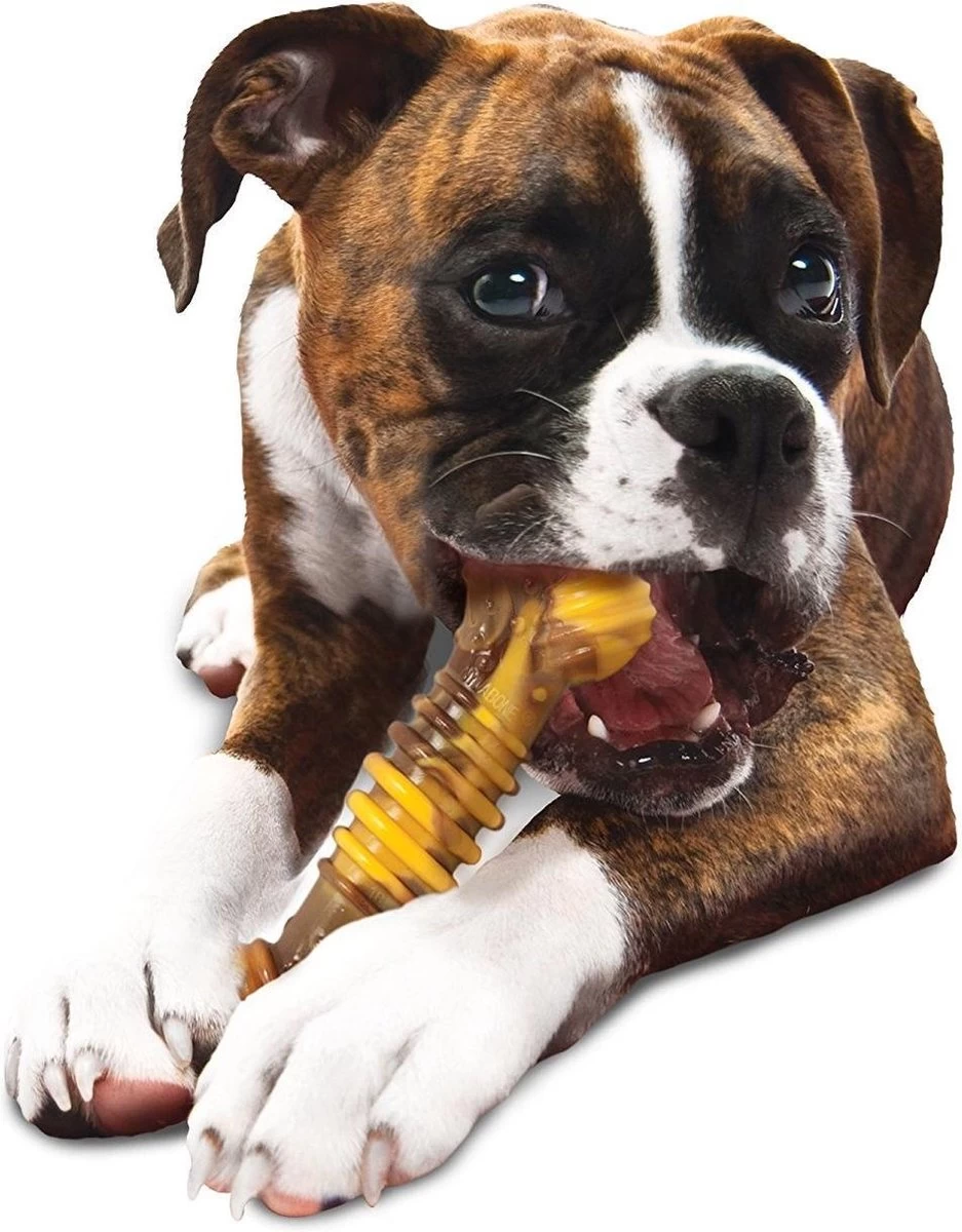 Nylabone Extreme Kauwbot Met Rund- En Kaassmaak - Voor Krachtige Kauwers - In S/M/XL - X-Large - Afbeelding 10