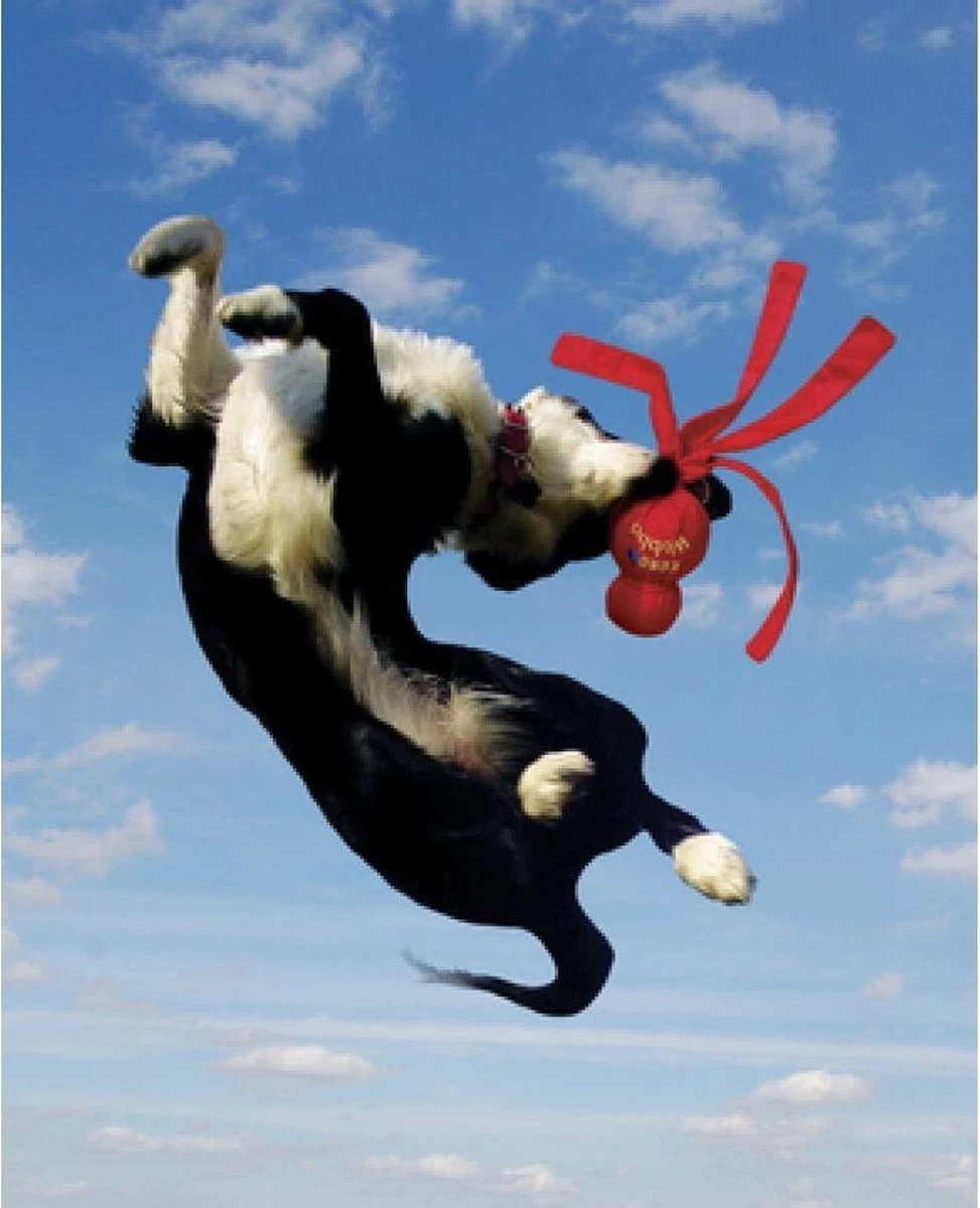 Kong Wubba - Hondenspeelgoed - Assorti - L: 36 Cm - Afbeelding 5