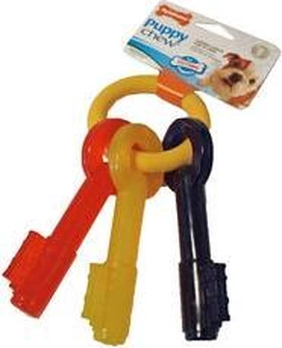 Nylabone Puppy Teething Key Flexible Geel&Blauw&Rood - Hondenspeelgoed - Wolf Tot 16kg - Afbeelding 14